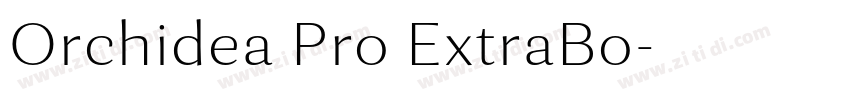 Orchidea Pro ExtraBo字体转换